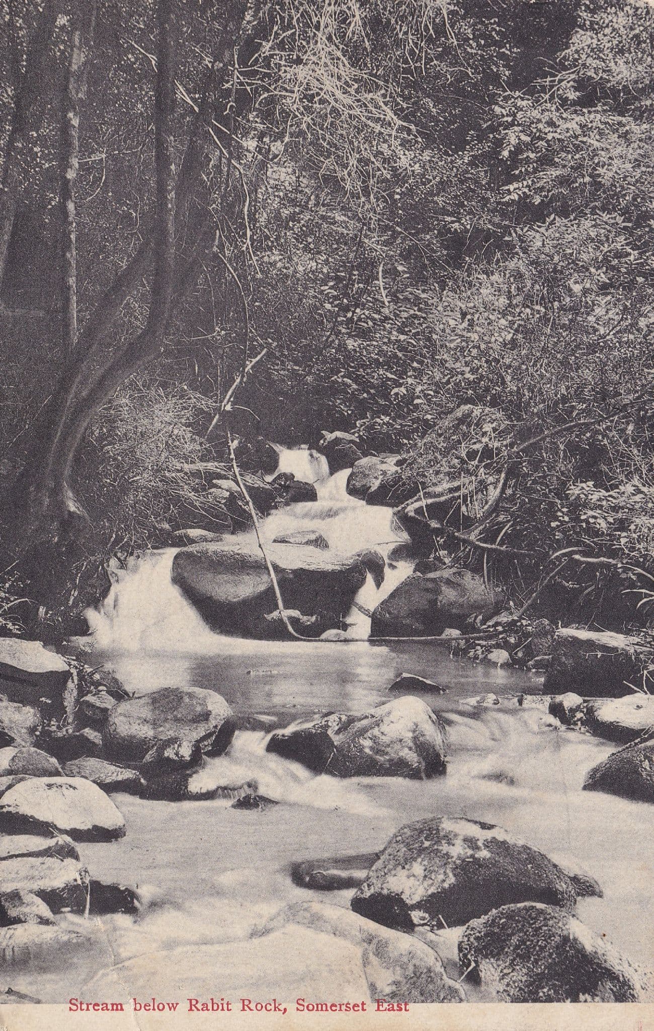 Rabit Rock Somerset East Old Postcard