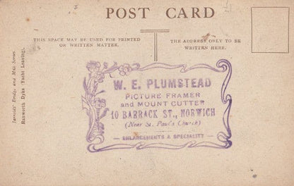 Rackham Boats Norwich Plumstead Picture Framer Advertising Old Postcard