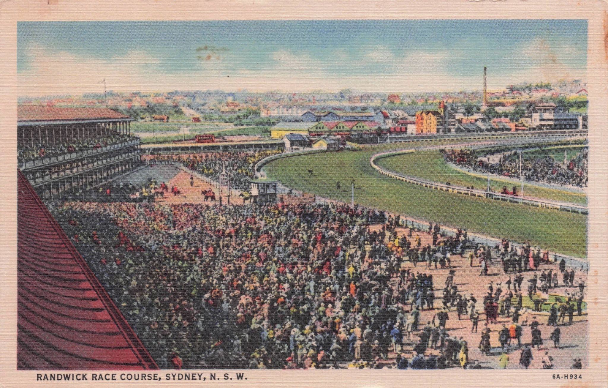 Randwick Horse Race Course Sydney Australia Antique Postcard