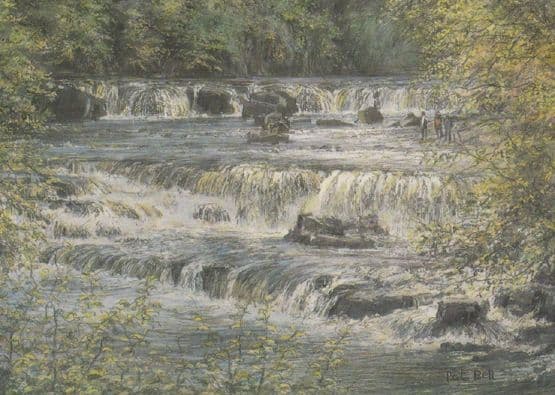 Rapids at Aysgarth Falls Yorkshire Giant Painting Postcard