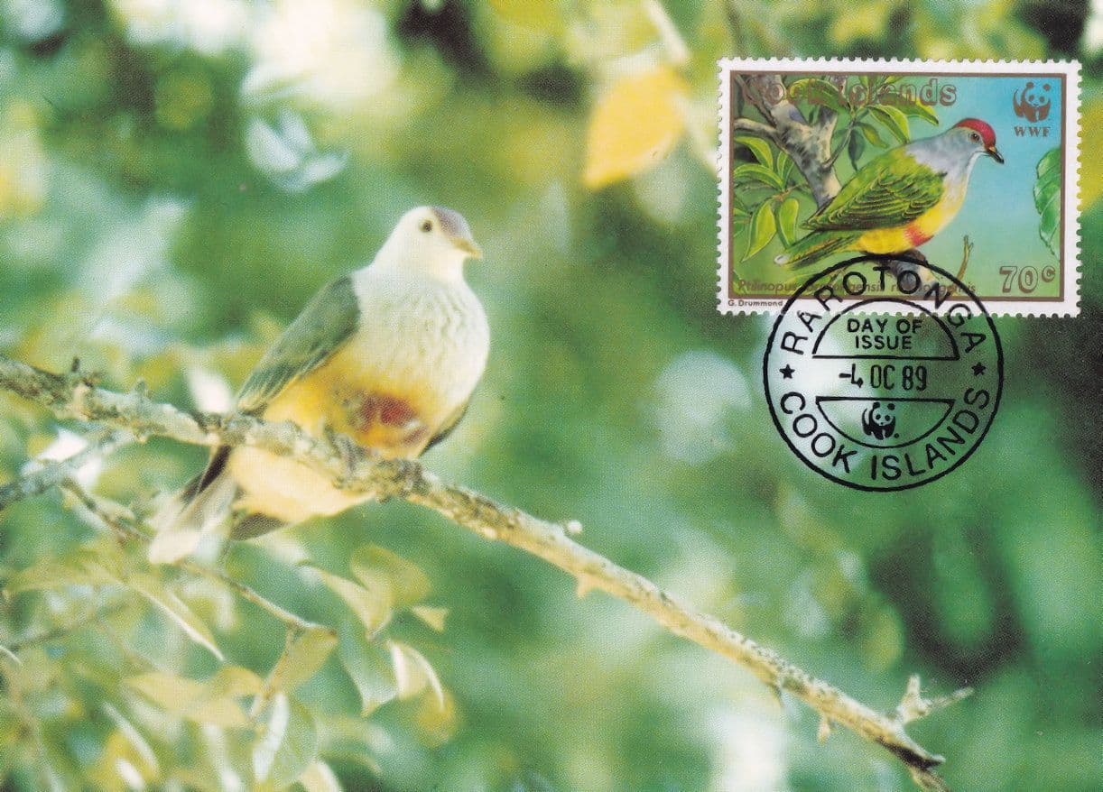 Rarotonga Flycatcher Cook Islands Bird Limited WWF Stamp First Day Cover Postcard