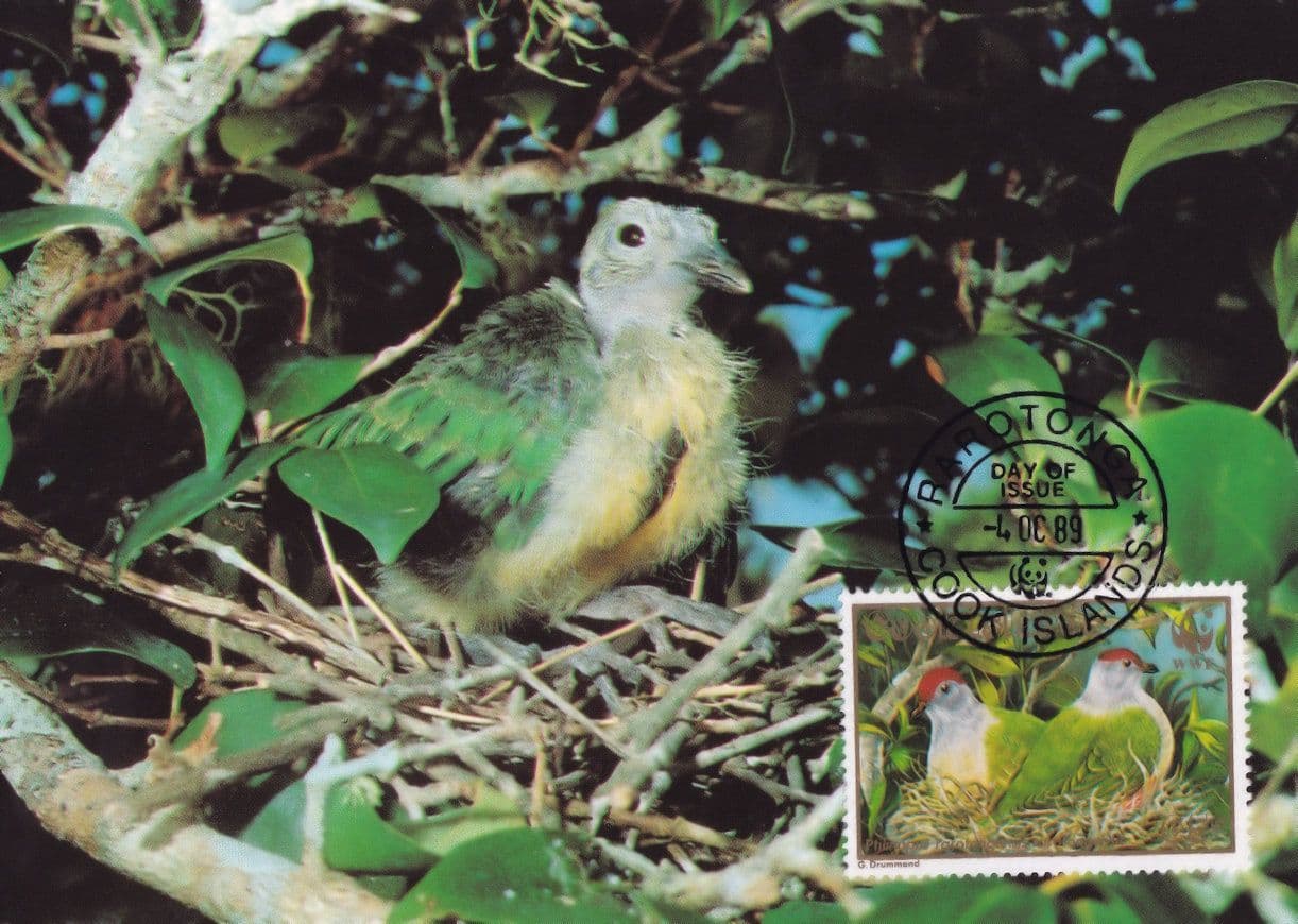 Rarotonga Flycatcher Cook Islands Bird WWF Stamp First Day Cover Postcard