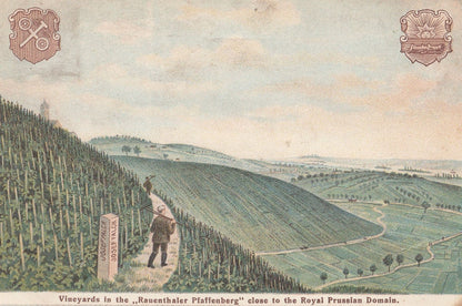 Rauentheler Plaffenberg Prussian German Wine Vineyards Advertising WW1 Postcard