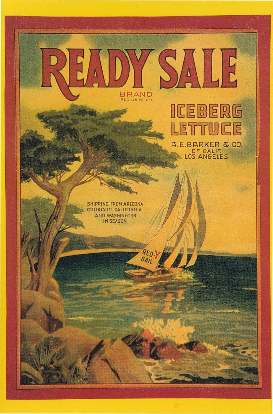 Ready Sale Iceberg Lettuce Los Angeles Advertising Postcard