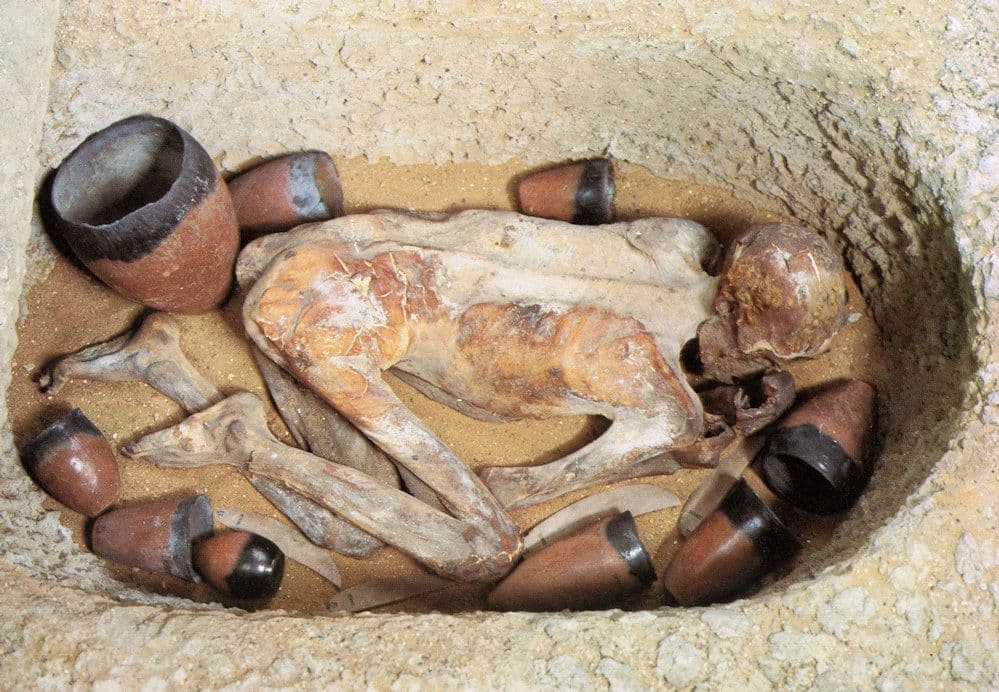 Reconstructed Burial Predynastic Period Egypt Corpse Postcard