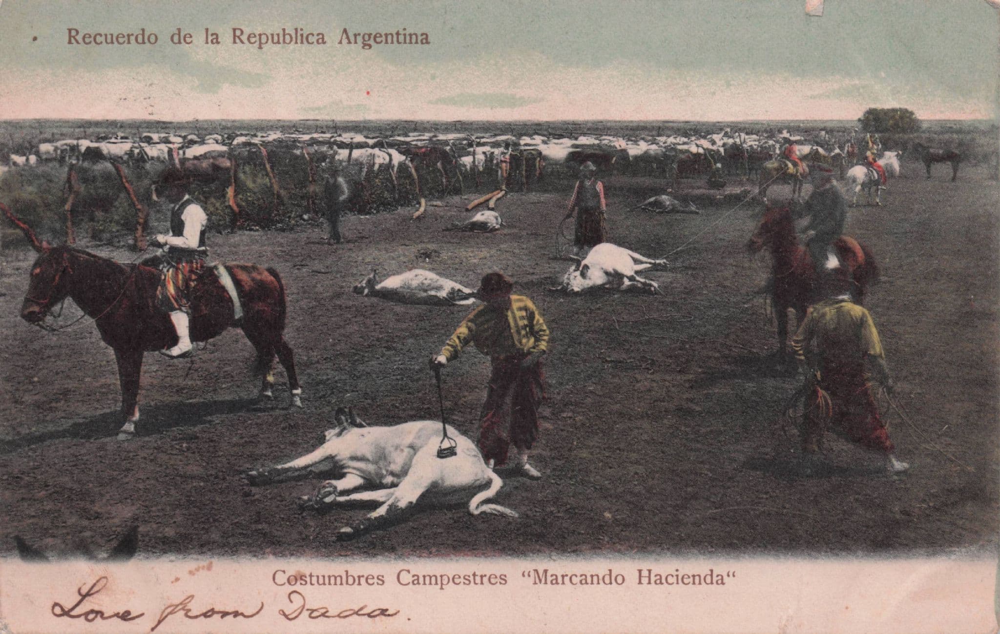 Recuerdo de la Republica Argentina Estancia Cattle Killed Old Postcard