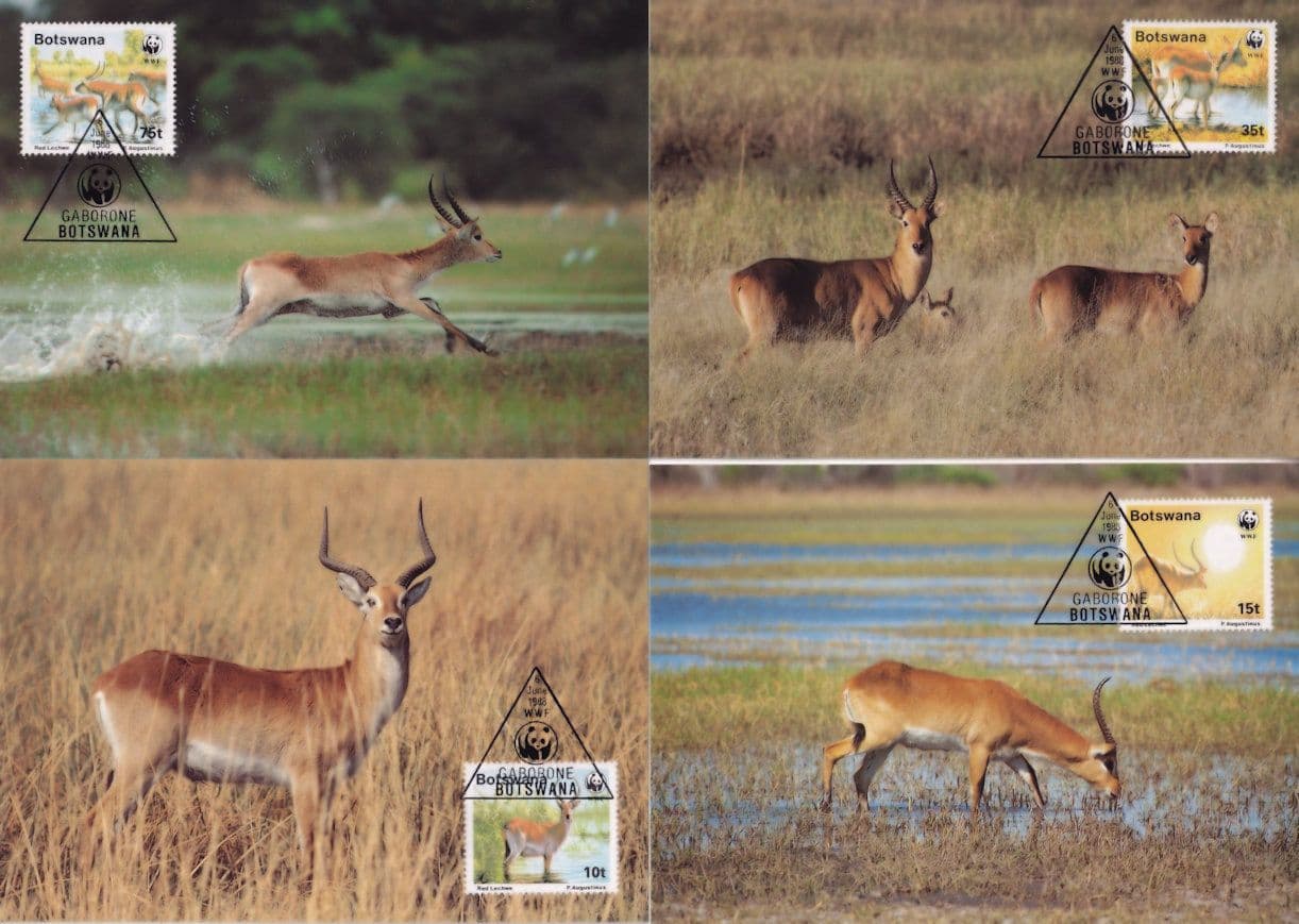Red Lechwe Deer Botswana 4x WWF Stamp First Day Cover Postcard  s