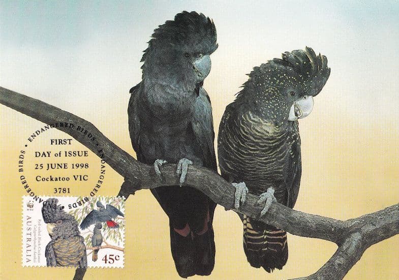 Red Tailed Black Cockatoo Australian Bird Stamp Rare WWF First Day Cover Postcard