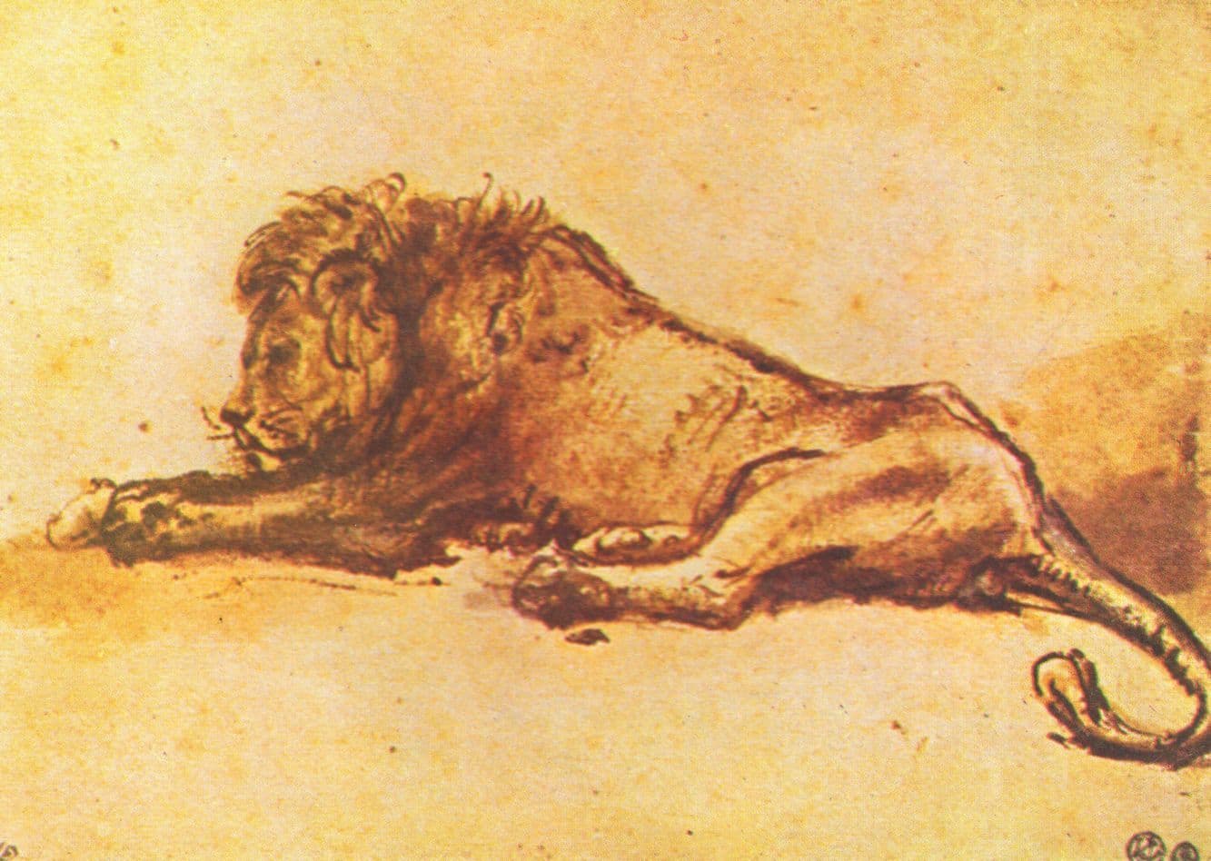 Rembrandt Van Rijn Lion Pen & Brush With Brown Ink Painting Postcard