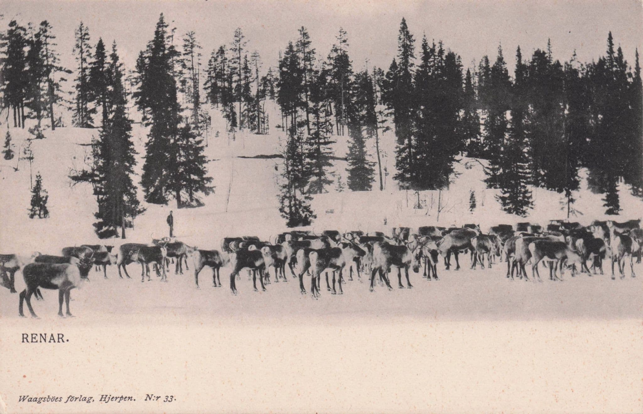 Renar Sweden At Winter Antique Swedish Postcard
