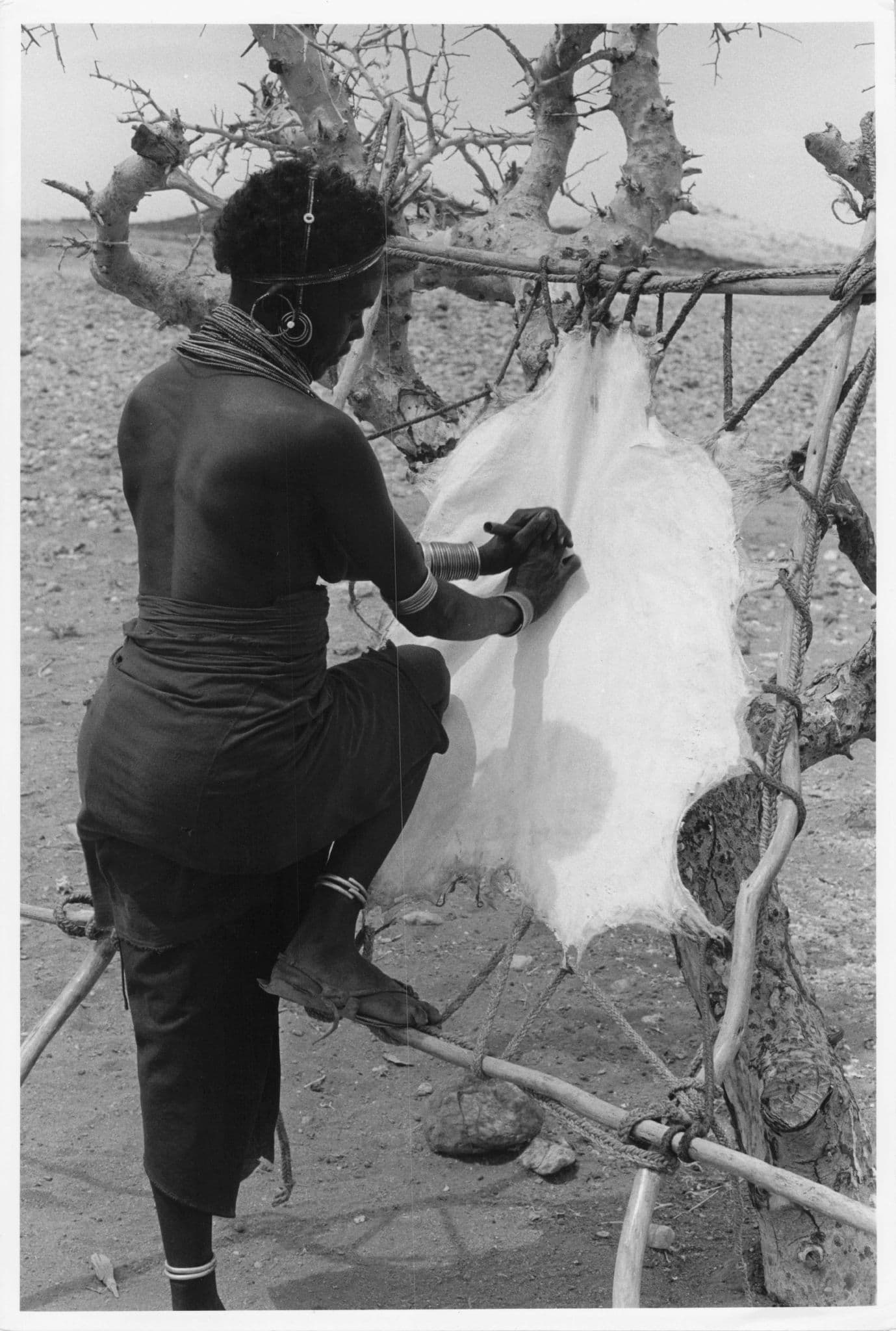 Rendille Woman Animal Doctor Kenya Treating Goats Skin African 9x7 Photo