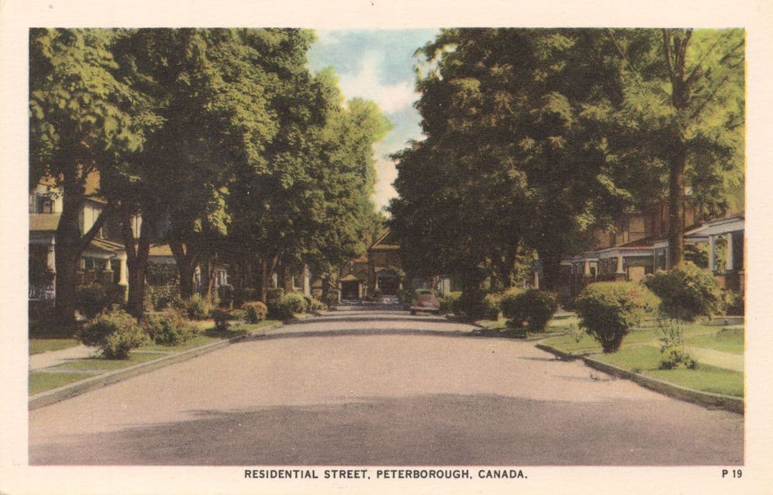 Residential Street Peterborough Ontario Canada Antique Postcard