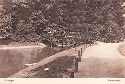 Restaurant Cafe Bodega Walenburgerhof Rotterdam Holland Real Photo Postcard