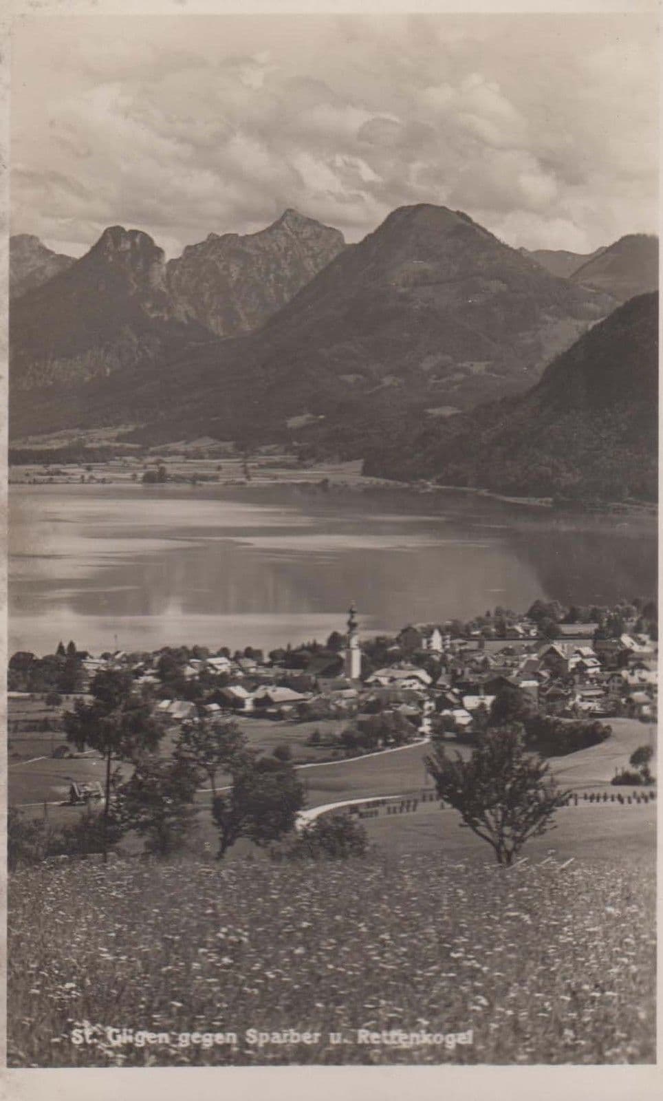 Rettenkogel Austria Austrian Vintage Birds Eye Postcard