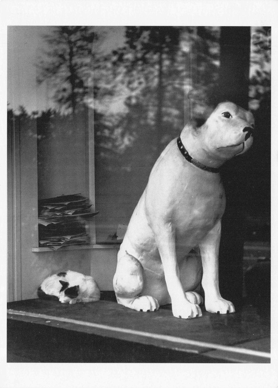 Nipper of RCA His Masters Voice Gramophone Player Dog Award Photo Postcard