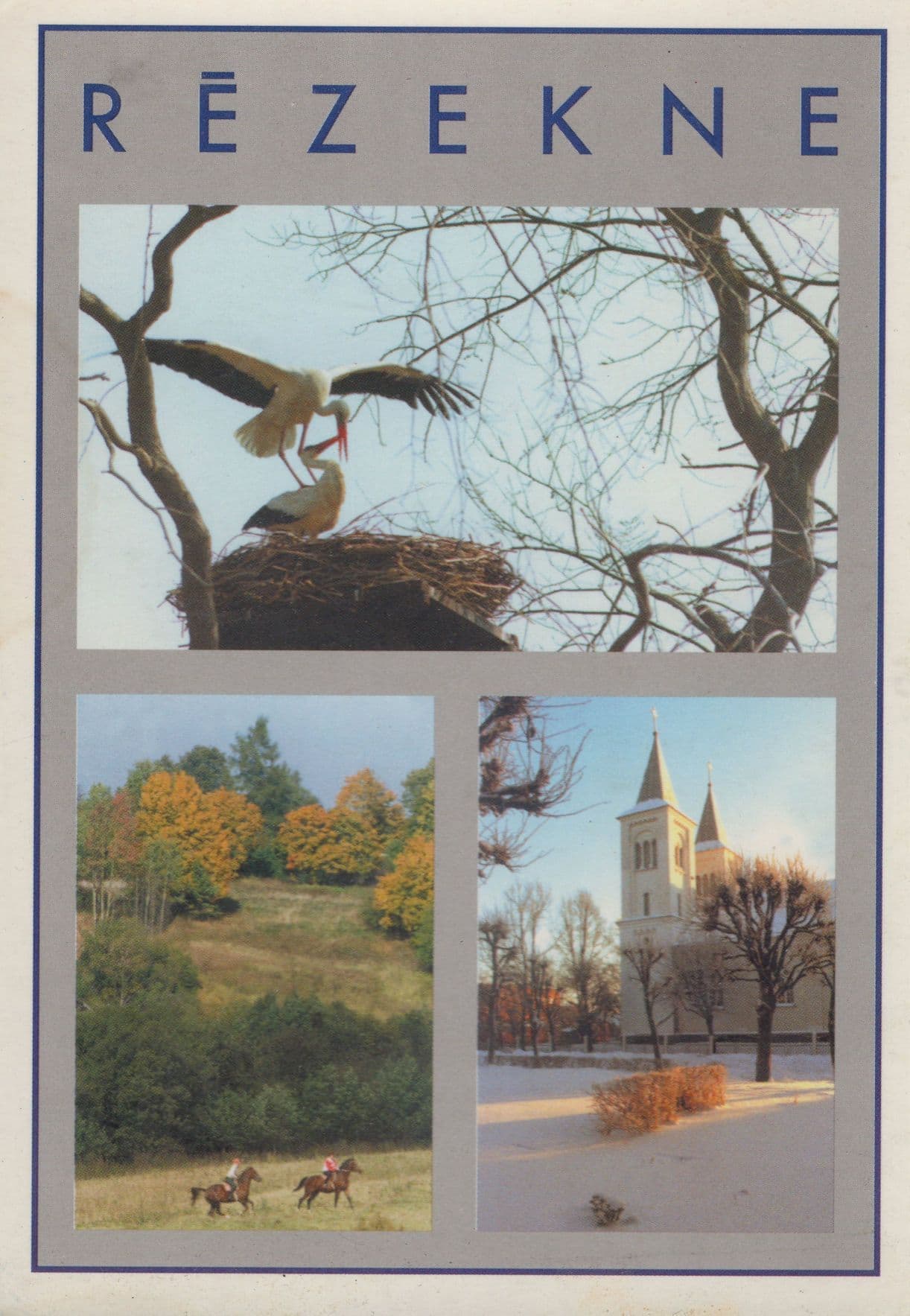 Rezekne Latvia Latvian Bird Tourism Map Advertising Postcard