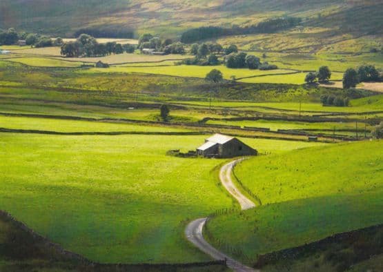 Ribbleshead Barn Award Winning Photo Postcard