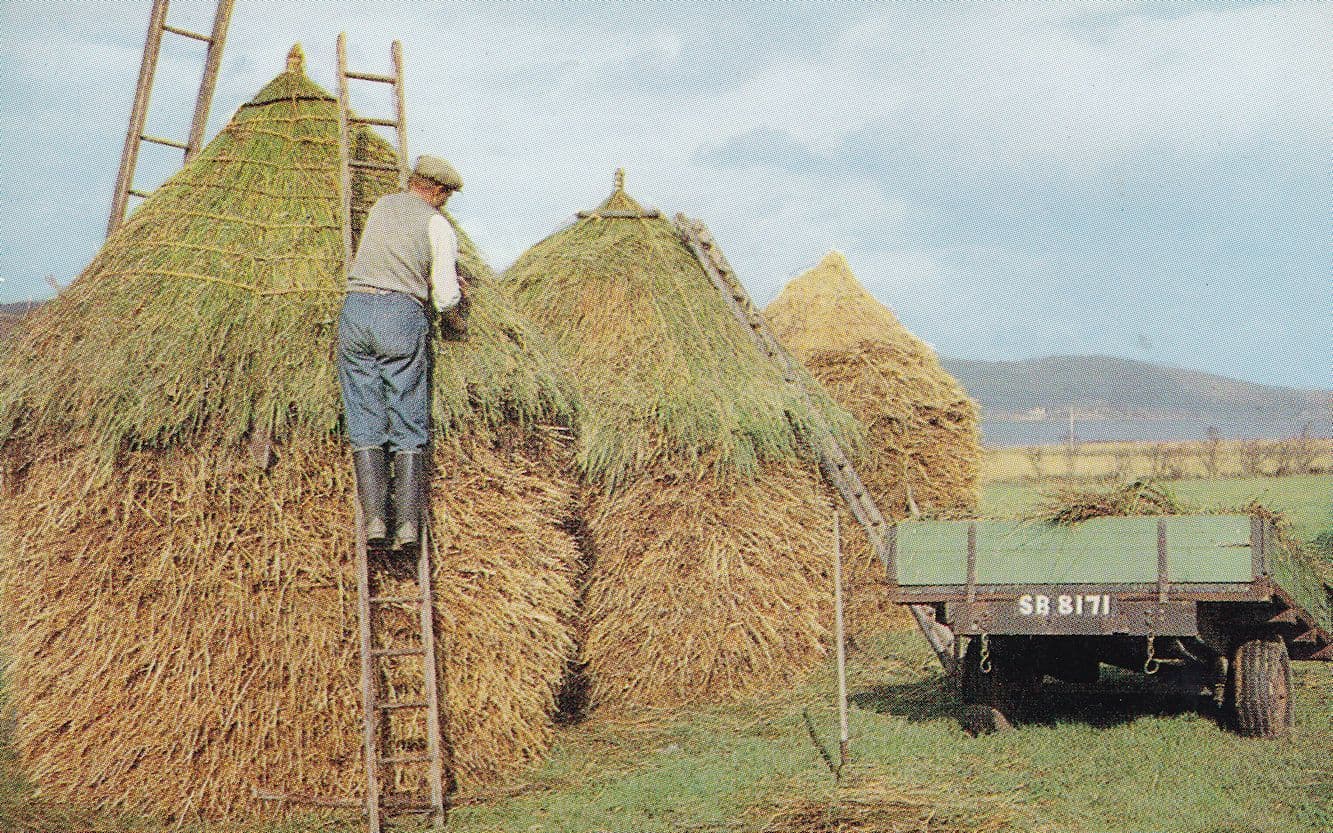 Rick Thatching in Argyllshire Scottish Vintage Postcard