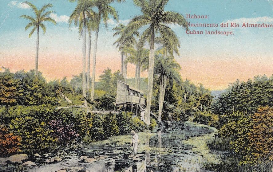 Rio Almendare Cuban Landscape Habana Postcard