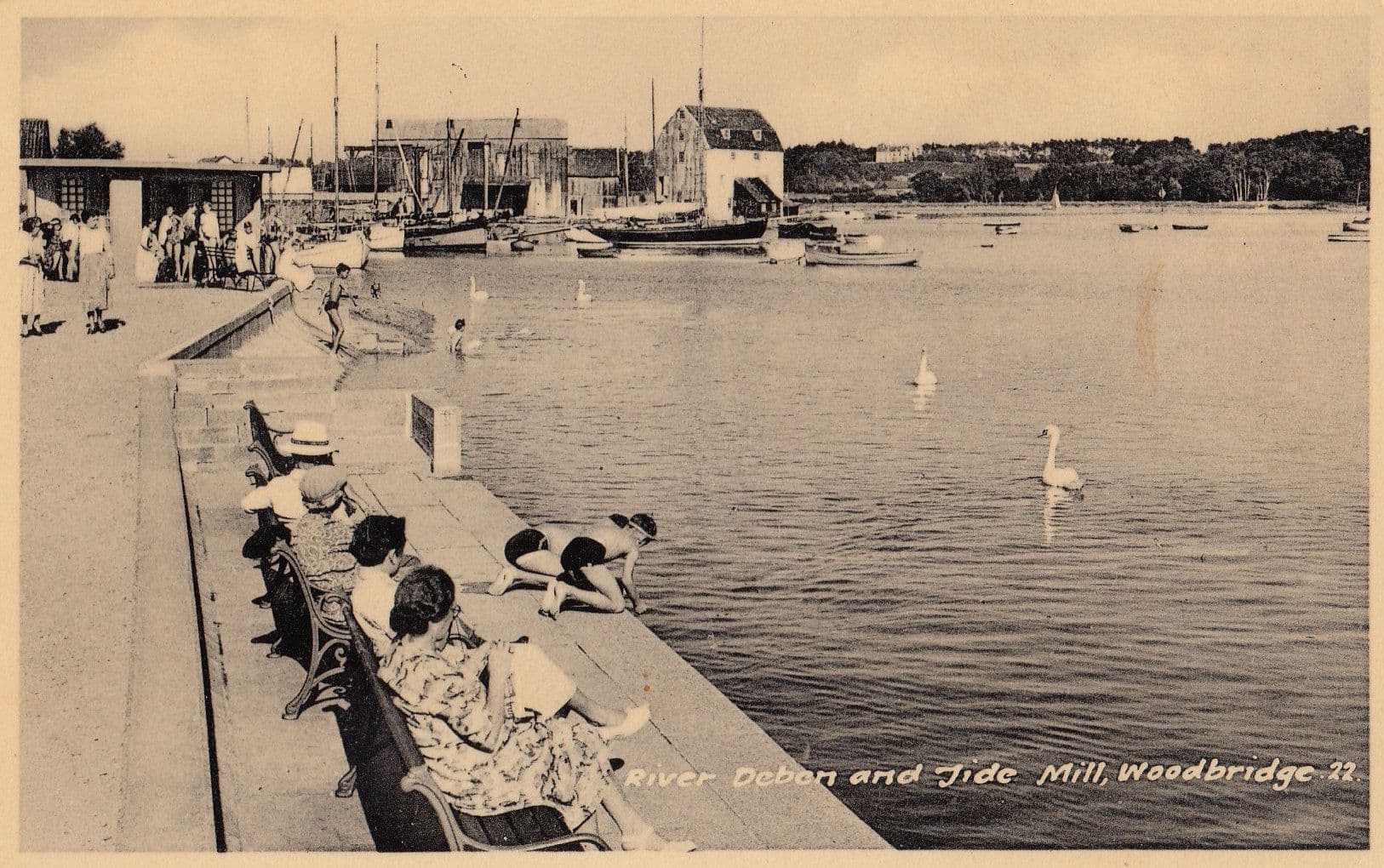 River Deben Woodbridge Swans Girl Nearly Falling Old Suffolk Real Photo Postcard