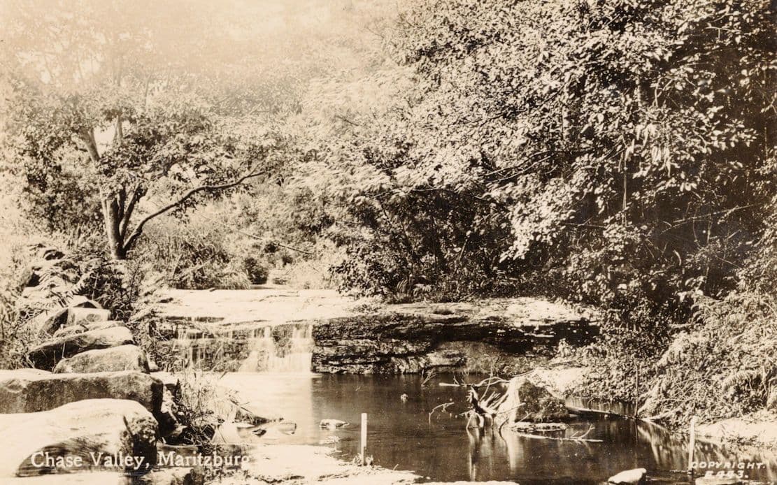 River Reflections at Chase Valley Maritzburg South Africa RPC Postcard
