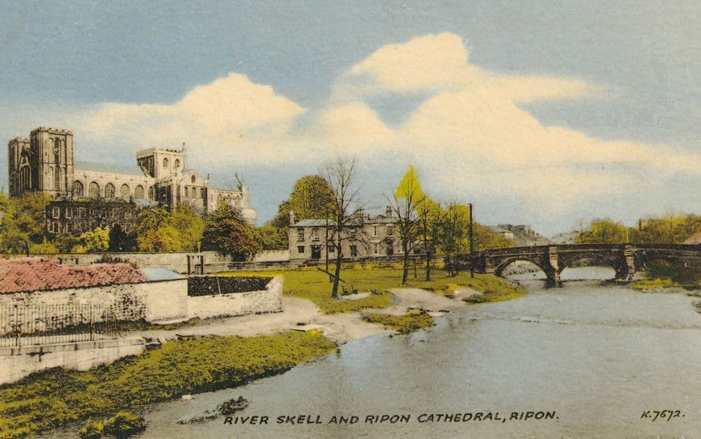 River Skell Ripon Yorkshire in Summer Friths 1950s Postcard