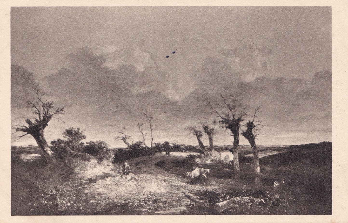 Road With Pollards John Crome Painting Antique Norwich Museum Postcard