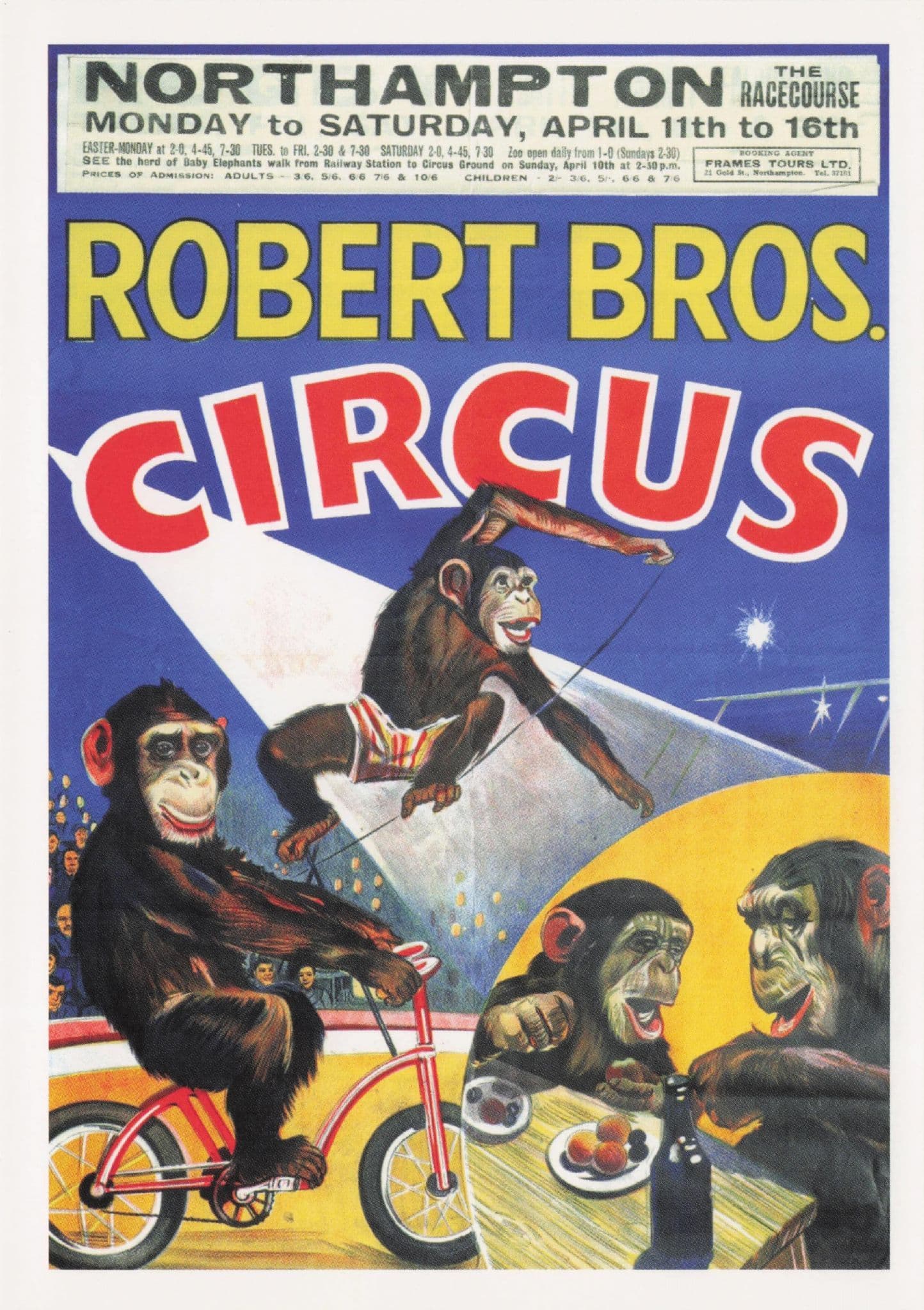 Robert Brothers Circus Monkeys On Bicycles Northampton Poster Postcard