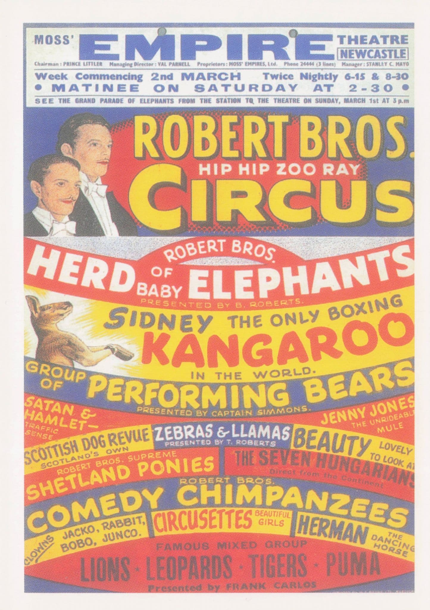 Robert Brothers Circus Newcastle Empire Boxing Kangaroo Poster Postcard