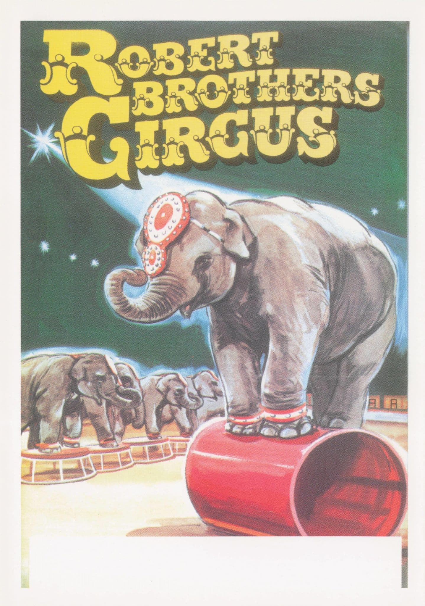 Robert Brothers Circus Performing Elephants Poster Postcard