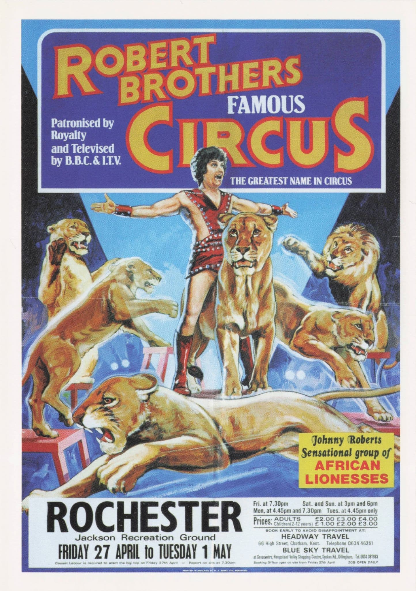Robert Brothers Circus Rochester Kent African Lioness Poster Postcard