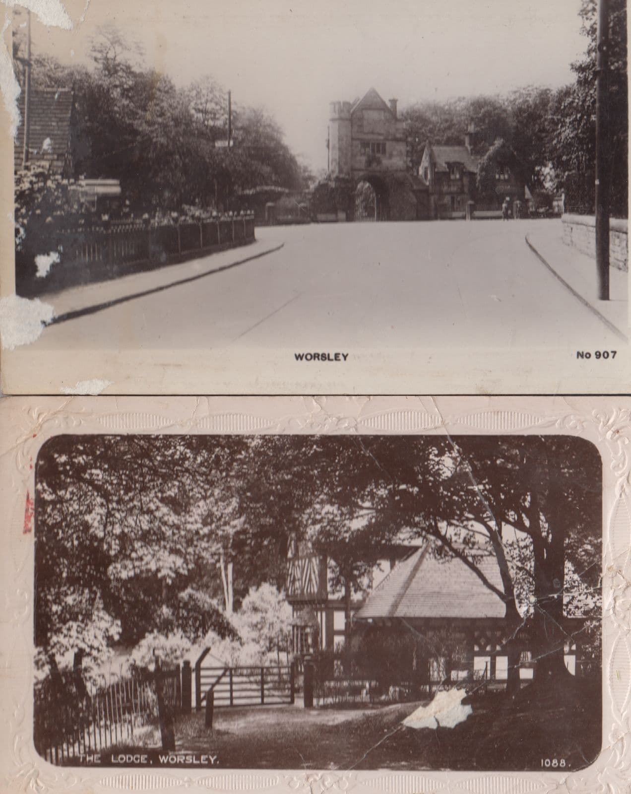 Rockland St Mary Church The Ruins Norfolk RPC Postcard