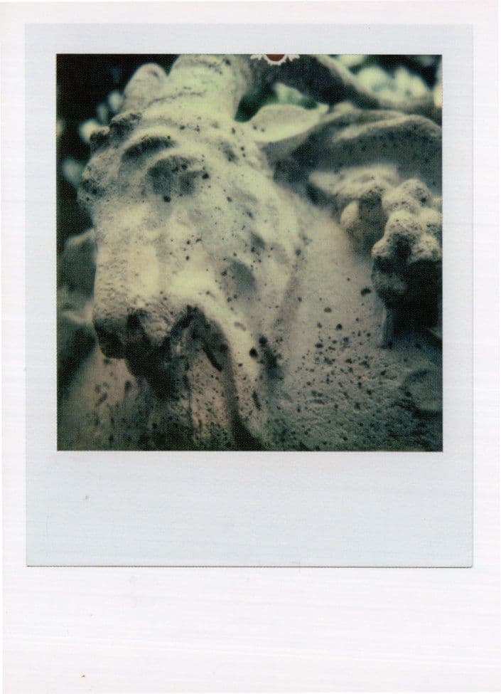 Rocky Mountain Shaped As Unicorn Horse Award Analog Photo Postcard