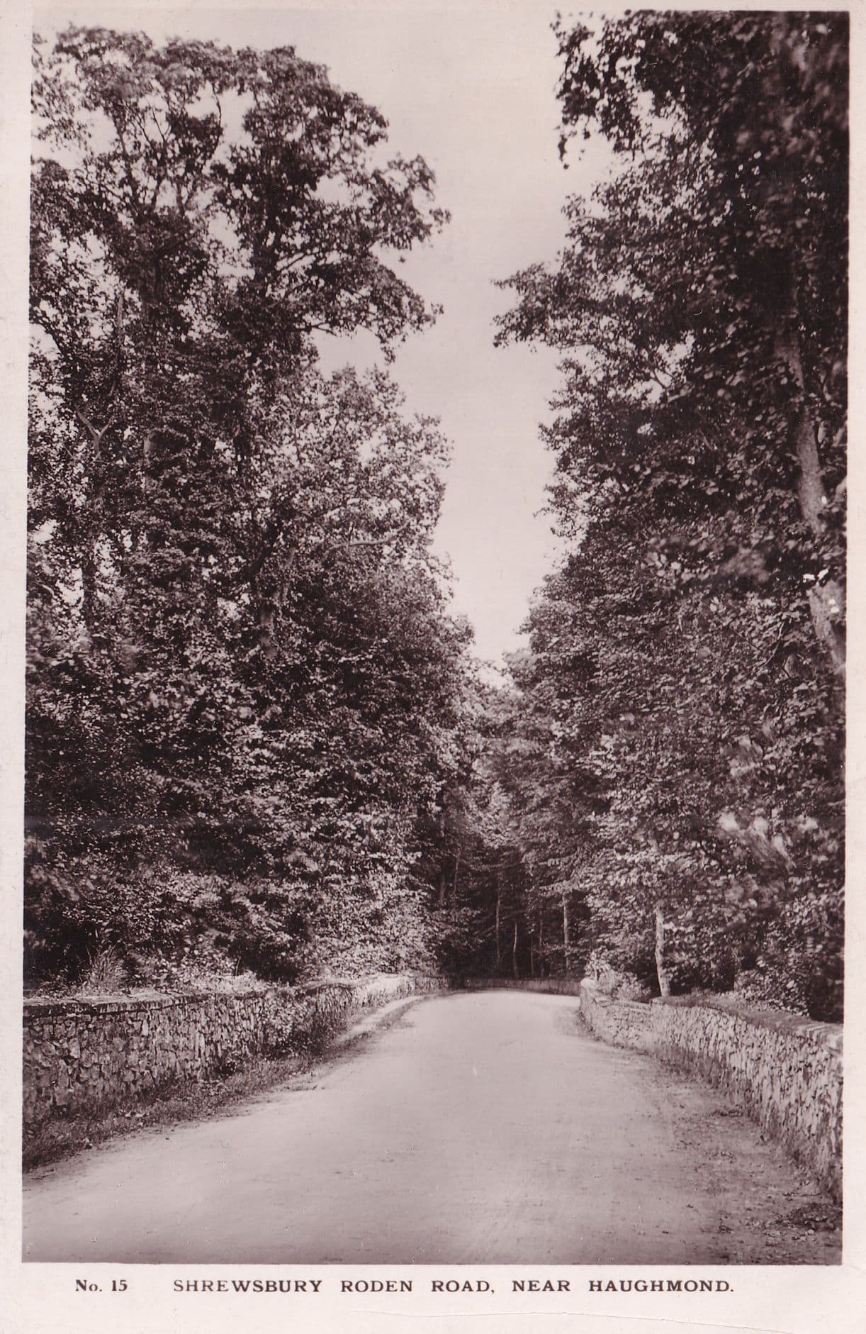 Roden Road Shrewsbury Haughmond Real Photo Old Postcard