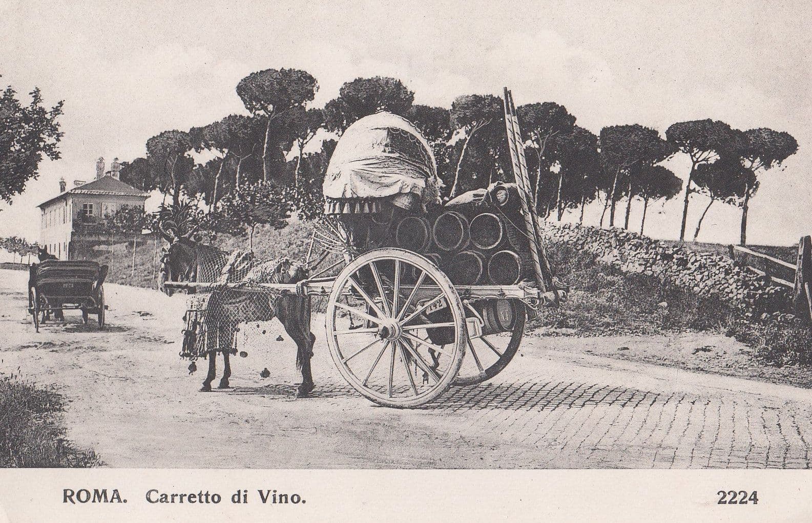 Roma Carretto di Vino Old Italy Transportation Postcard