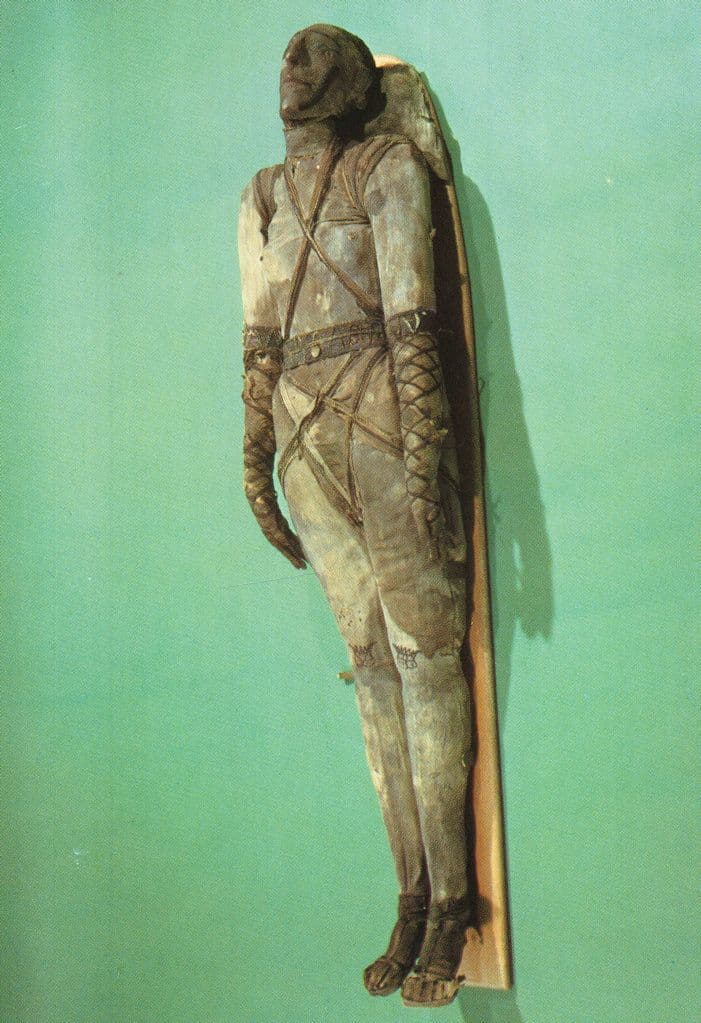 Roman Body Of A Man Wrapped in Bandages Museum Postcard