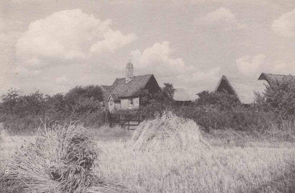 Rose Lane Farm Marks Gate in 1950 Essex Postcard