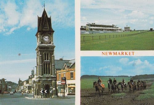 Rowley Mile Racecourse Grandstand Newmarket Horse Race Exercise Racing Postcard