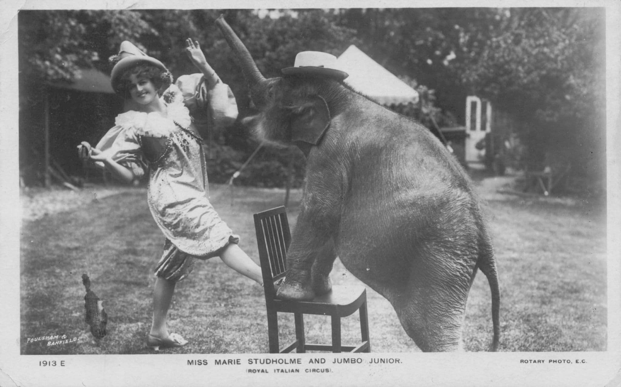 Royal Italian Circus Elephant Jumbo Junior Miss Marie Studholme Postcard