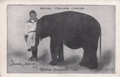 Royal Italian Circus Jumbo Elephant & Boy Trainer Antique Visitor Postcard