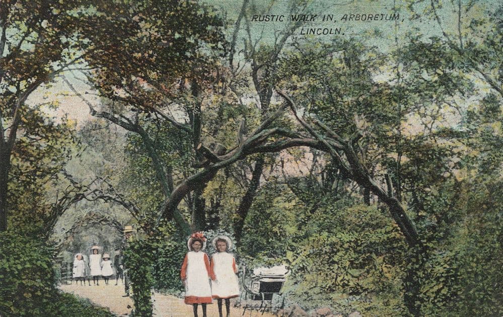 Rustic Walk in Lincoln Childrens Prams Fashion Old Postcard
