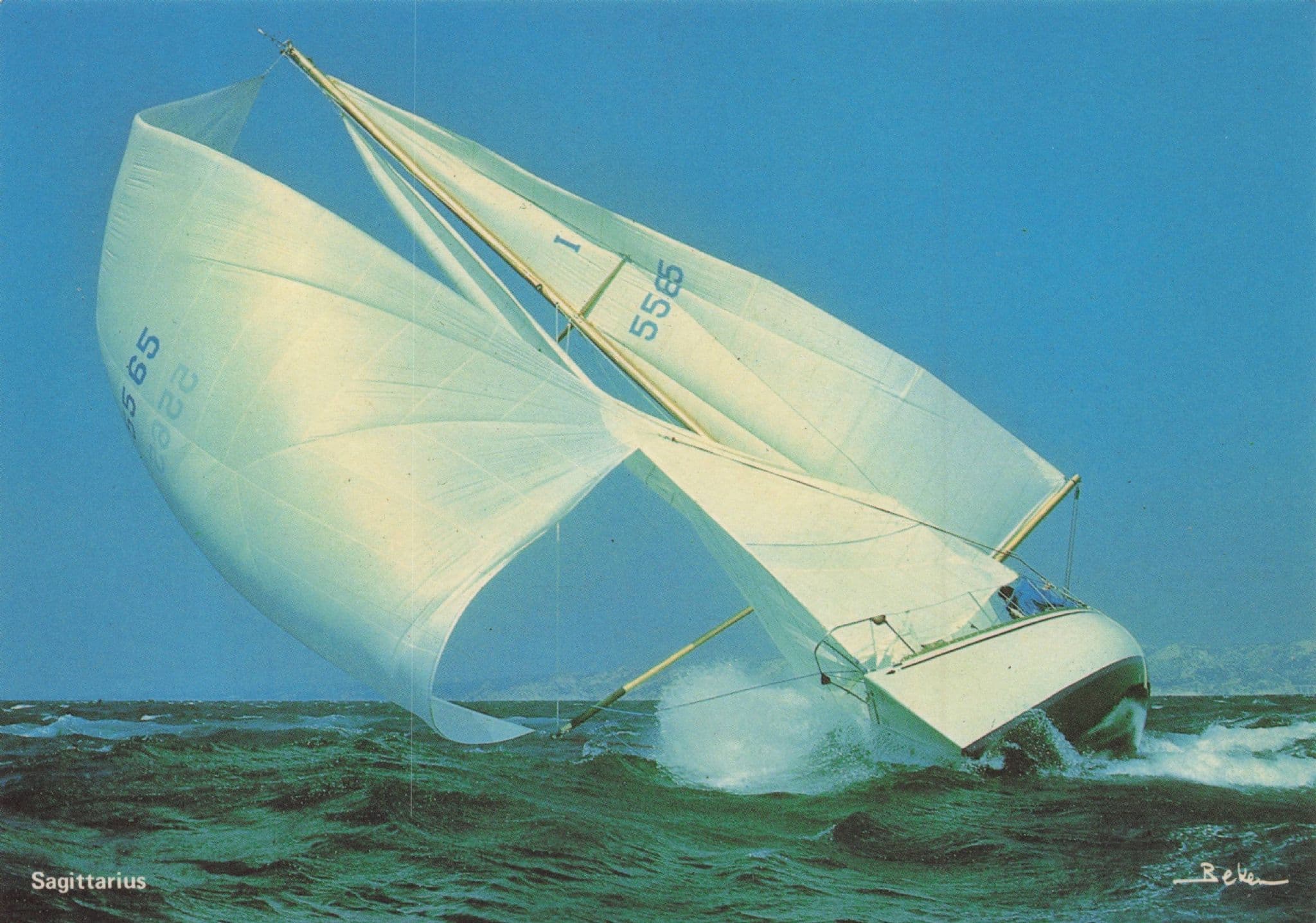 Sagittarius 1980s Sailing Racing Ship Disaster Wind Boat Postcard