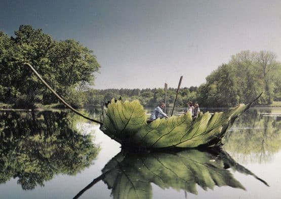 Sailing In A GIANT Model Leaf Boat UNIQUE London Photo Agency Art Postcard