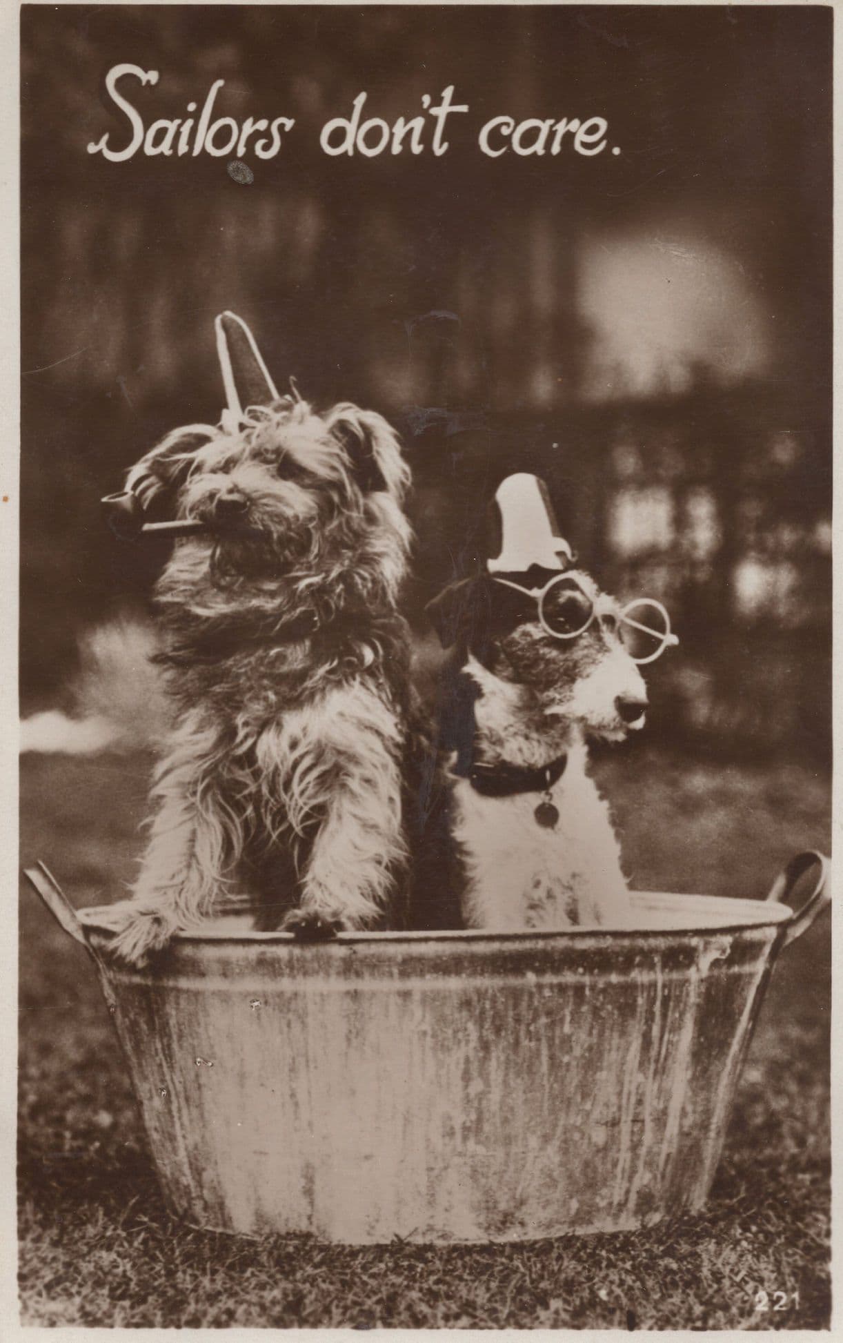 Sailors Dont Care 2x Dog Comic Smoking Military Old Dogs Postcard s