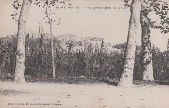 Saint Elme Pyr Or Gare French Antique Postcard