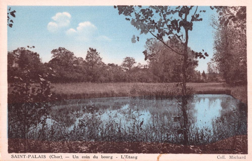 Saint Palais Un Coin Du Bourg L'Etang Cher French Lake Old Postcard