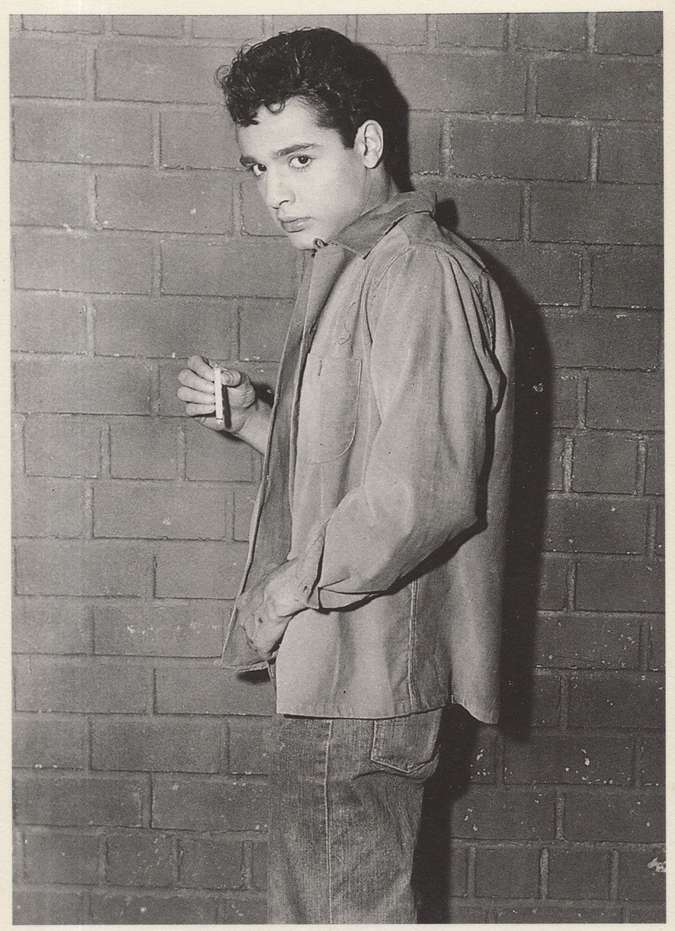 Sal Mineo Film Star Michael Ochs Archive Rare Photo Postcard