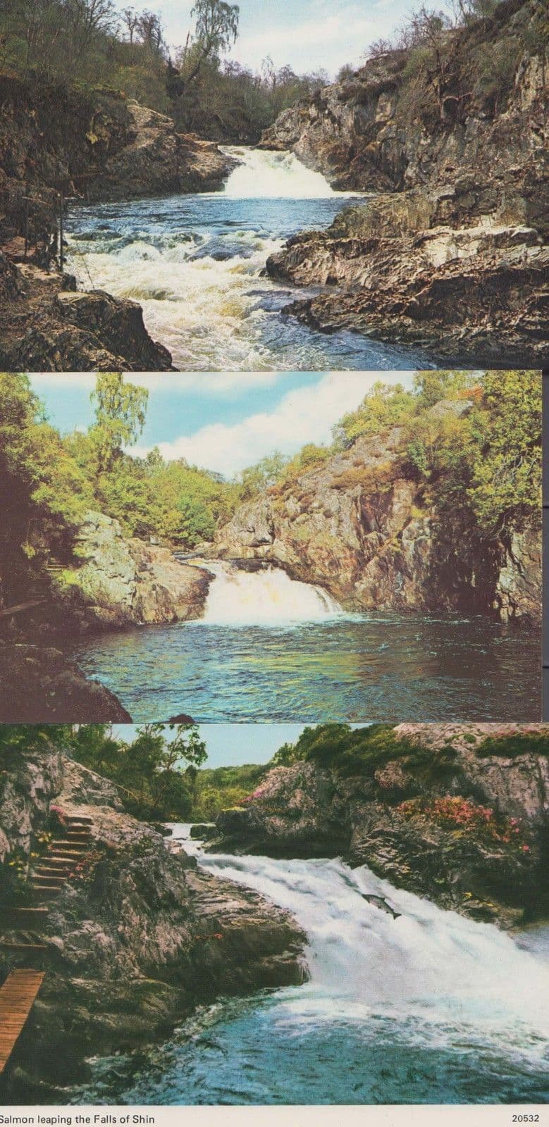 Salmon Leaping The Falls Of Shin 3x 1970s Postcard s