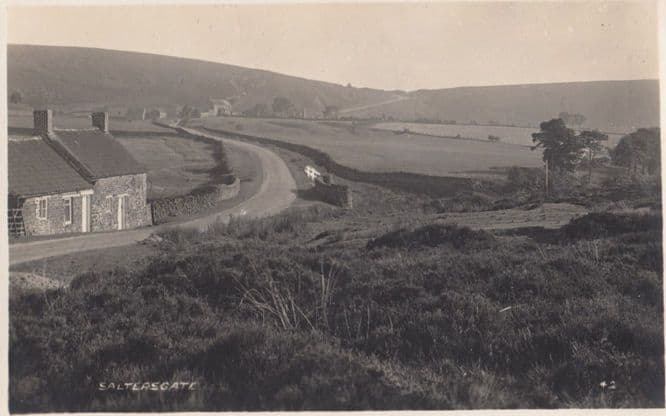 Saltersgate Windy Path Antique Yorkshire Postcard