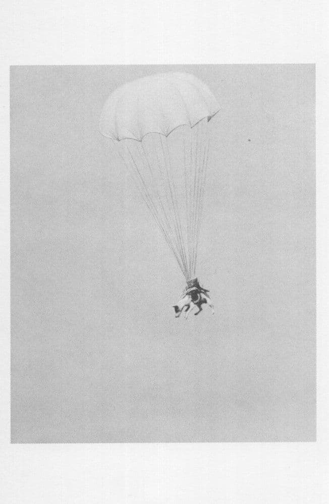 Salvo The Parachute Dog in Essex Military Paradog Jump WW2 Postcard